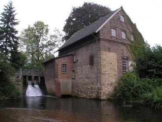 Water plant (The Tüshaus Mill) 